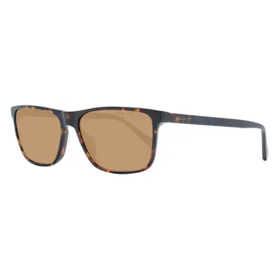 Gant Sunglasses