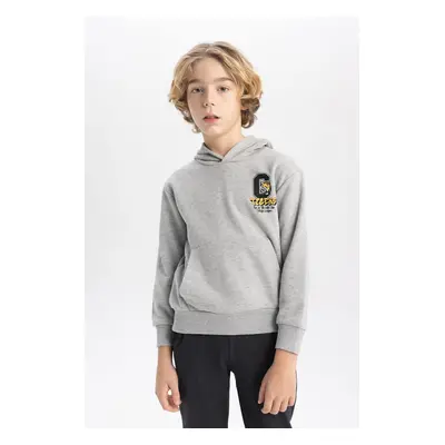 DEFACTO Boy's Printed Hooded Thick Sweatshirt