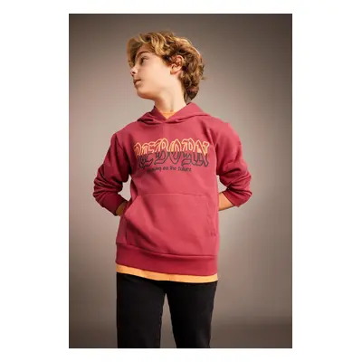 DEFACTO Boy's Printed Hooded Thick Sweatshirt