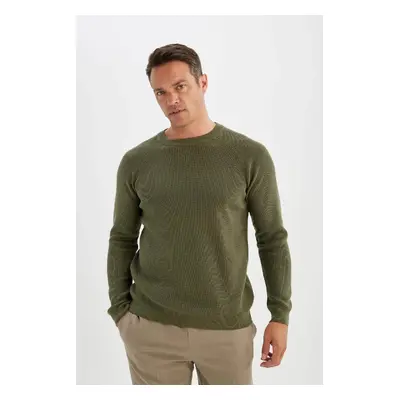 DEFACTO Standard Fit Regular Cut Crew Neck Basic Plain Knitwear Sweater