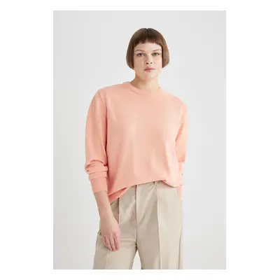 DEFACTO Regular Fit Crew Neck Basic Knitwear Sweater