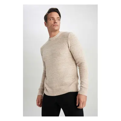 DEFACTO Standard Fit Crew Neck Sweater