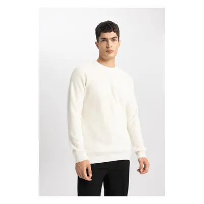 DEFACTO Standard Fit Regular Cut Crew Neck Basic Plain Knitwear Sweater