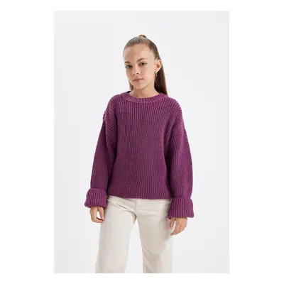 DEFACTO Girl's Purple Standard Fit Crew Neck Basic Plain Knitwear Sweater