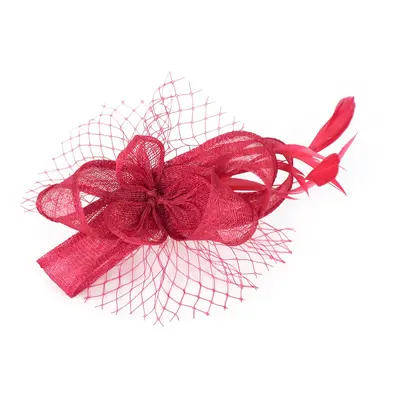 Art Of Polo Woman's Fascinator cz22170