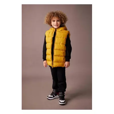 DEFACTO Boy's Water Repellent Hooded Basic Puffer Vest A1765a823au