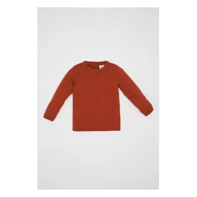 DEFACTO Baby Boy Dark Orange Crew Neck Basic Plain Knitwear Sweater