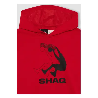 DEFACTO Boy Shaquille O'neal Hooded Sweatshirt