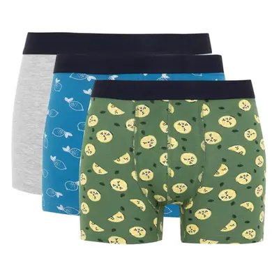 DEFACTO Regular Fit 3-pack Boxer