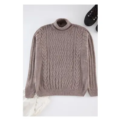 Trendyol Mink Casual Regular Couple/Double Turtleneck Textured Knitwear Sweater