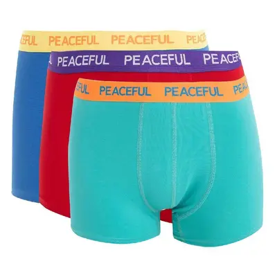 DEFACTO Regular Fit 3-pack Boxer