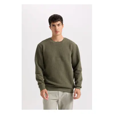 DEFACTO Regular Fit Crew Neck Jacquard Sweatshirt