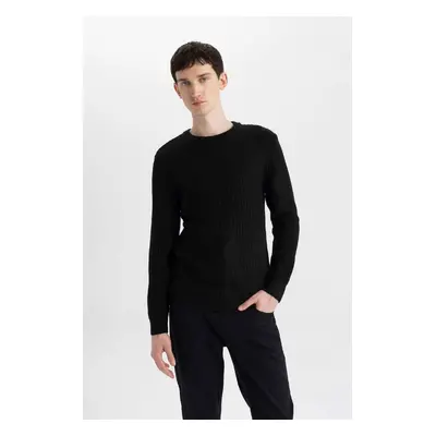 DEFACTO Black Standard Fit Regular Cut Crew Neck Jacquard Aviator Knitwear Sweater