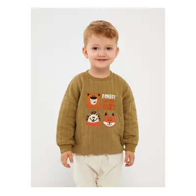 LC Waikiki Lw - Crew Neck Long Sleeve Baby Boy Sweatshirt