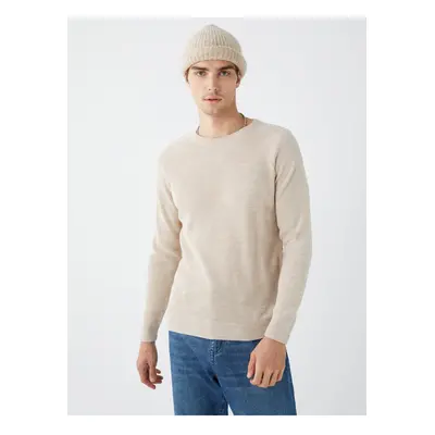 LC Waikiki Crew Neck Long Sleeve Men's Knitwear Sweater