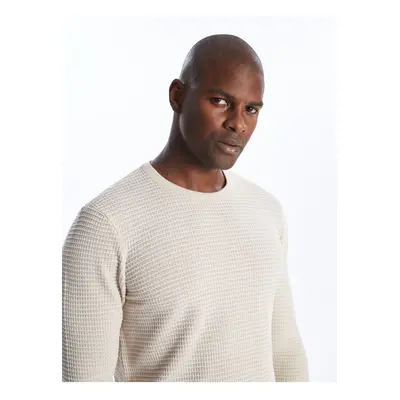 LC Waikiki Crew Neck Long Sleeve Men's Knitwear Sweater