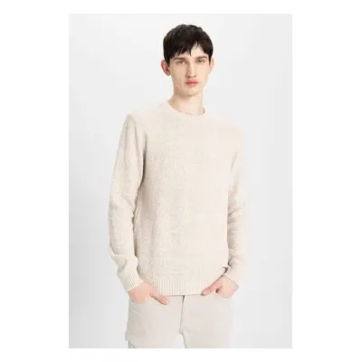 DEFACTO Standard Fit Regular Cut Crew Neck Textured Basic Knitwear Sweater