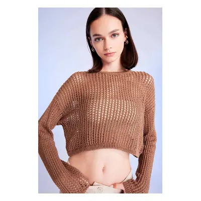 DEFACTO Regular Fit Crew Neck Crochet Openwork Crop Knitwear Sweater