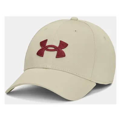 Pánská kšiltovka Under Armour