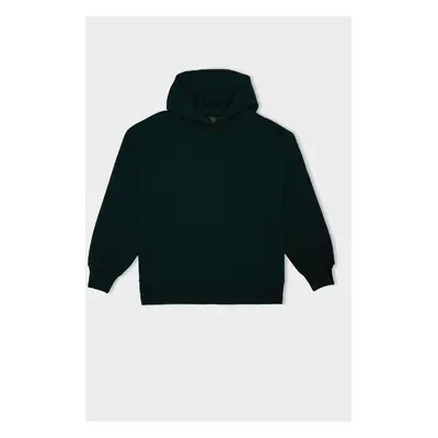 DEFACTO Relax Fit Hooded Thick Basic Plain Sweatshirt