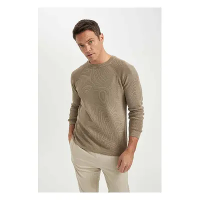 DEFACTO Standard Fit Regular Cut Crew Neck Basic Plain Knitwear Sweater