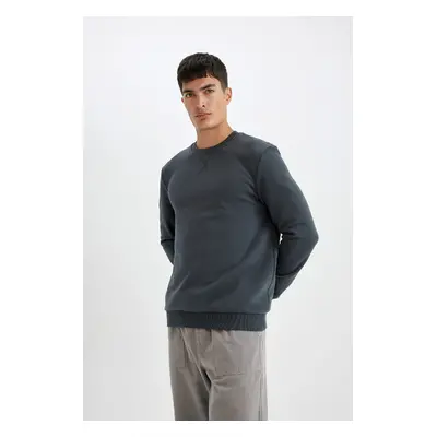 DEFACTO Regular Fit Crew Neck Basic Plain Sweatshirt