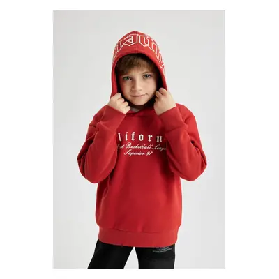 DEFACTO Boy's Hooded Printed Thick Sweatshirt