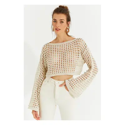 Cool & Sexy Women's Ecru Silvery Openwork Knitwear Short Blouse YV141