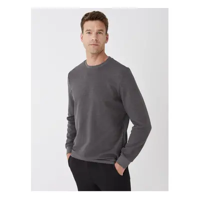 LC Waikiki Crew Neck Long Sleeve Men's Sweatshirt