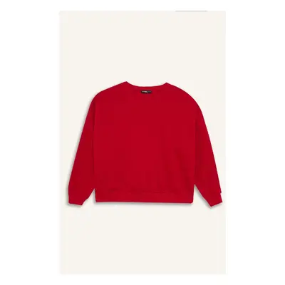 DEFACTO Oversize Wide Pattern Crew Neck Thick Fabric Basic Red Sweatshirt