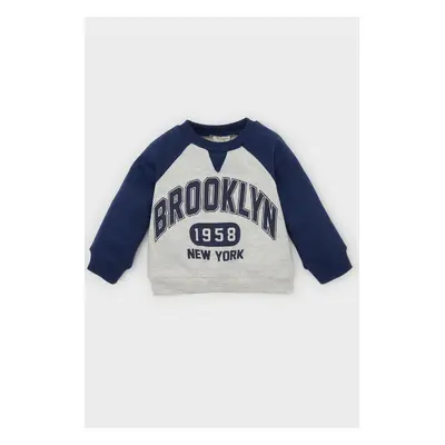 DEFACTO Baby Boy Crew Neck Printed Soft Furry Thin Sweatshirt