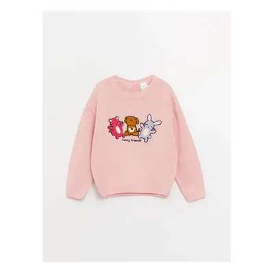 LC Waikiki LCW baby Crew Neck Embroidered Long Sleeve Baby Girl Knitwear Sweater