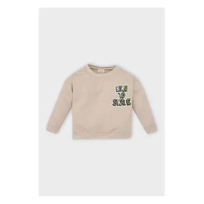 DEFACTO Baby Boy Crew Neck Back Printed Soft Furry Sweatshirt