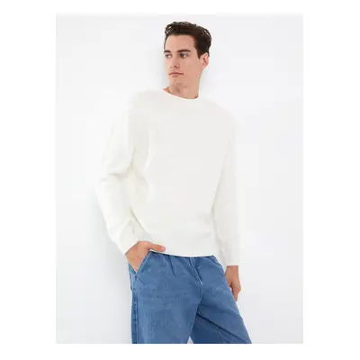 LC Waikiki Crew Neck Long Sleeve Men's Knitwear Sweater