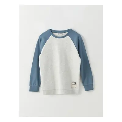 LC Waikiki Crew Neck Color Block Long Sleeve Boys' T-Shirt