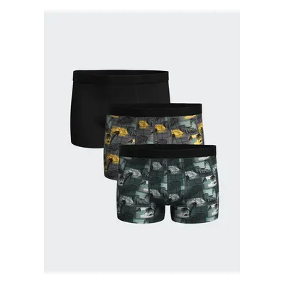 LC Waikiki Standard Mold Flexible Fabric Men's Boxer 3-Piece