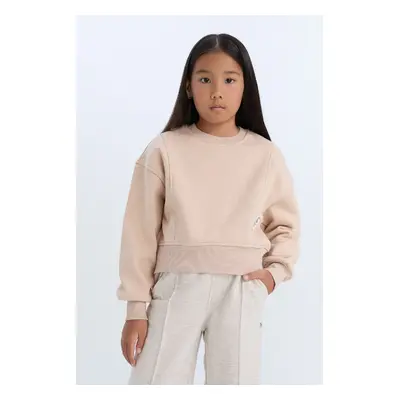 DEFACTO Girl Relax Fit Crew Neck Basic Plain Soft Fluffy Thick Fabric Sweatshirt