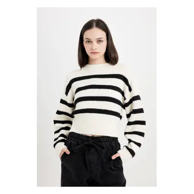 DEFACTO Regular Fit Striped Crew Neck Knitwear Sweater