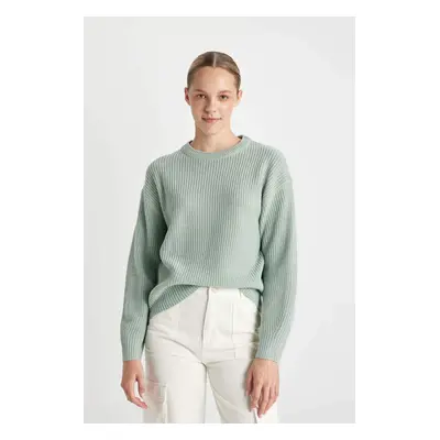 DEFACTO Regular Fit Crew Neck Knitwear Sweater