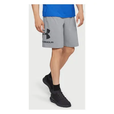 Pánské šortky Under Armour COTTON BIG LOGO SHORTS gray