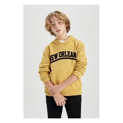 DEFACTO Boy Printed Hooded Thick Sweatshirt