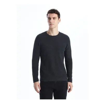 LC Waikiki Crew Neck Long Sleeve Men's Knitwear Sweater