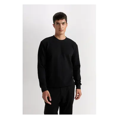 DEFACTO Regular Fit Crew Neck Jacquard Sweatshirt D5394AX24AU