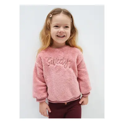 LC Waikiki Lcw Crew Neck Long Sleeve Plush Baby Girl Sweatshirt with Embroidery Detail