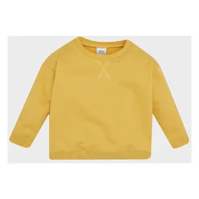 DEFACTO Baby Boy Crew Neck Soft Furry Basic Plain Sweatshirt