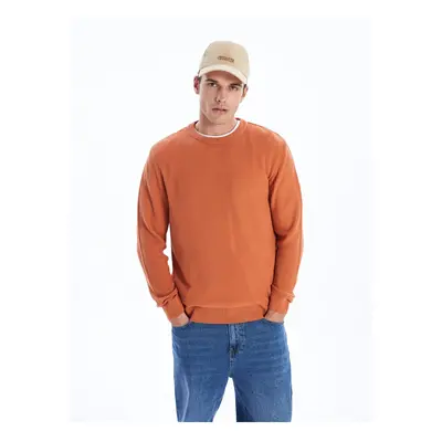 LC Waikiki Crew Neck Long Sleeve Men's Knitwear Sweater