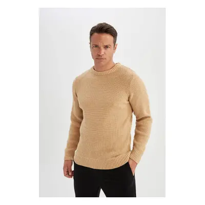 DEFACTO Standard Fit Regular Cut Crew Neck Basic Plain Knitwear Sweater