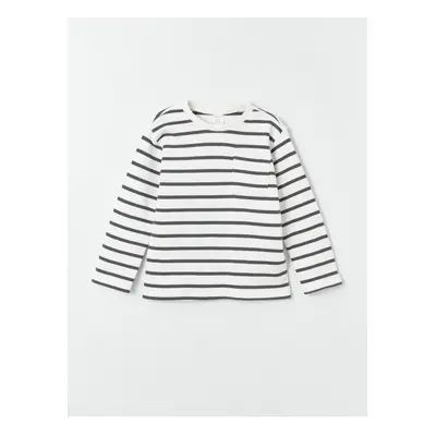 LC Waikiki Crew Neck Long Sleeve Striped Baby Boy T-Shirt