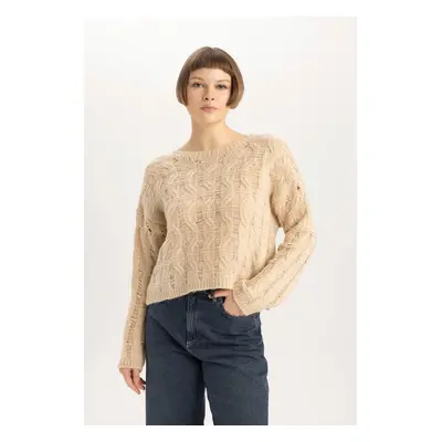 DEFACTO Relax Fit Crew Neck Knitwear Sweater