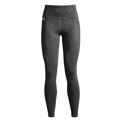 Dámské legíny Under Armour Favorite Legging Hi Rise-GRY